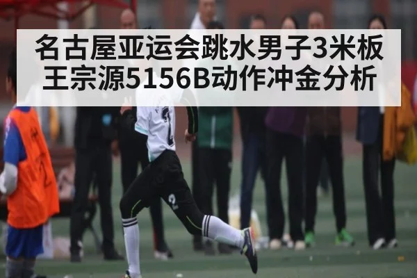 名古屋亚运会跳水男子3米板王宗源5156B动作冲金分析